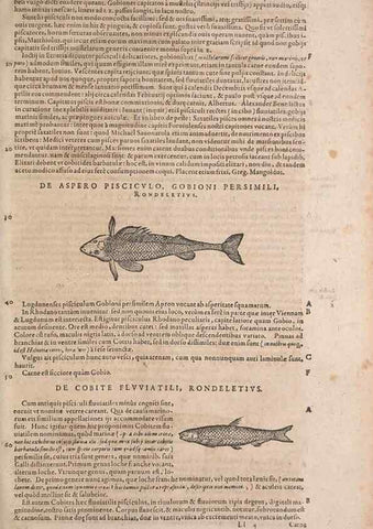 Reproducción/Reproduction 15566237061: Conradi Gesneri medici Tigurini Historiae animalium liber IV :. Francofurti :In Bibliopolio Andreae Cambieri,anno MDCIIII [1604]