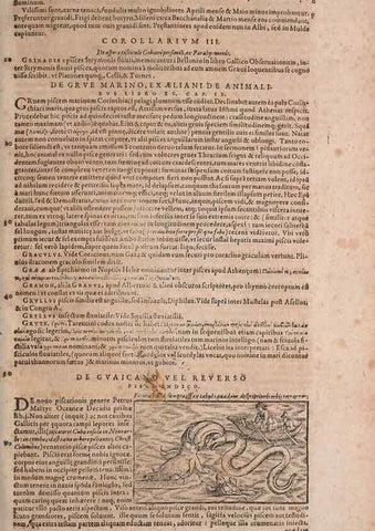 Reproducción/Reproduction 14948161594: Conradi Gesneri medici Tigurini Historiae animalium liber IV :. Francofurti :In Bibliopolio Andreae Cambieri,anno MDCIIII [1604]