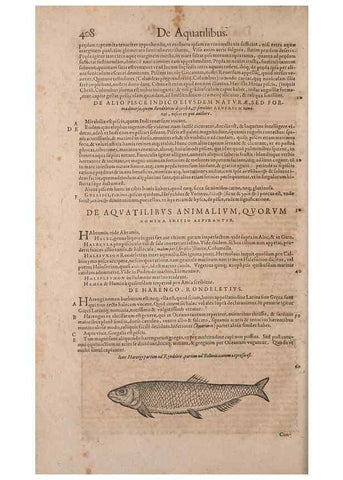 Reproducción/Reproduction 15382766548: Conradi Gesneri medici Tigurini Historiae animalium liber IV :. Francofurti :In Bibliopolio Andreae Cambieri,anno MDCIIII [1604]