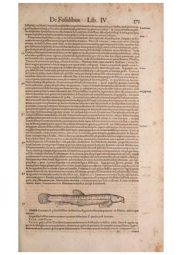Reproducción/Reproduction 14947895824: Conradi Gesneri medici Tigurini Historiae animalium liber IV :. Francofurti :In Bibliopolio Andreae Cambieri,anno MDCIIII [1604]