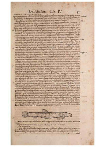Reproducción/Reproduction 14947895824: Conradi Gesneri medici Tigurini Historiae animalium liber IV :. Francofurti :In Bibliopolio Andreae Cambieri,anno MDCIIII [1604]