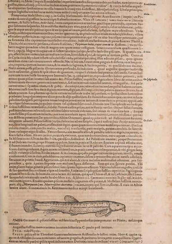 Reproducción/Reproduction 14947895824: Conradi Gesneri medici Tigurini Historiae animalium liber IV :. Francofurti :In Bibliopolio Andreae Cambieri,anno MDCIIII [1604]