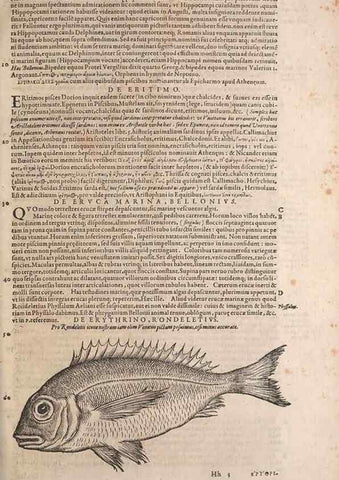 Reproducción/Reproduction 15382488968: Conradi Gesneri medici Tigurini Historiae animalium liber IV :. Francofurti :In Bibliopolio Andreae Cambieri,anno MDCIIII [1604]