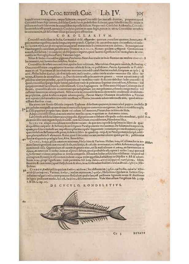 Reproducción/Reproduction 14947860574: Conradi Gesneri medici Tigurini Historiae animalium liber IV :. Francofurti :In Bibliopolio Andreae Cambieri,anno MDCIIII [1604]