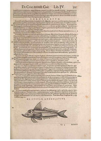 Reproducción/Reproduction 14947860574: Conradi Gesneri medici Tigurini Historiae animalium liber IV :. Francofurti :In Bibliopolio Andreae Cambieri,anno MDCIIII [1604]