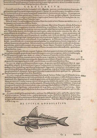 Reproducción/Reproduction 14947860574: Conradi Gesneri medici Tigurini Historiae animalium liber IV :. Francofurti :In Bibliopolio Andreae Cambieri,anno MDCIIII [1604]