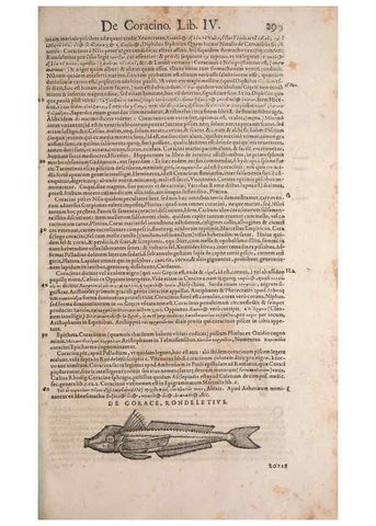 Reproducción/Reproduction 15565934031: Conradi Gesneri medici Tigurini Historiae animalium liber IV :. Francofurti :In Bibliopolio Andreae Cambieri,anno MDCIIII [1604]
