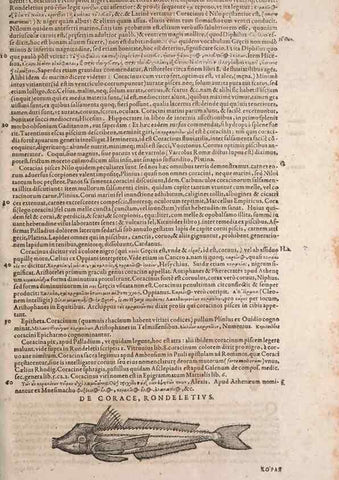 Reproducción/Reproduction 15565934031: Conradi Gesneri medici Tigurini Historiae animalium liber IV :. Francofurti :In Bibliopolio Andreae Cambieri,anno MDCIIII [1604]