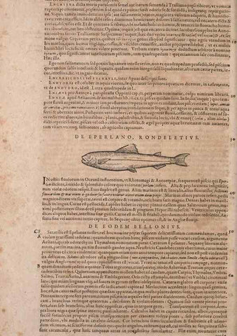 Reproducción/Reproduction 15569473042: Conradi Gesneri medici Tigurini Historiae animalium liber IV :. Francofurti :In Bibliopolio Andreae Cambieri,anno MDCIIII [1604]