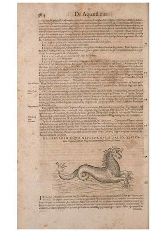 Reproducción/Reproduction 15383008810: Conradi Gesneri medici Tigurini Historiae animalium liber IV :. Francofurti :In Bibliopolio Andreae Cambieri,anno MDCIIII [1604]