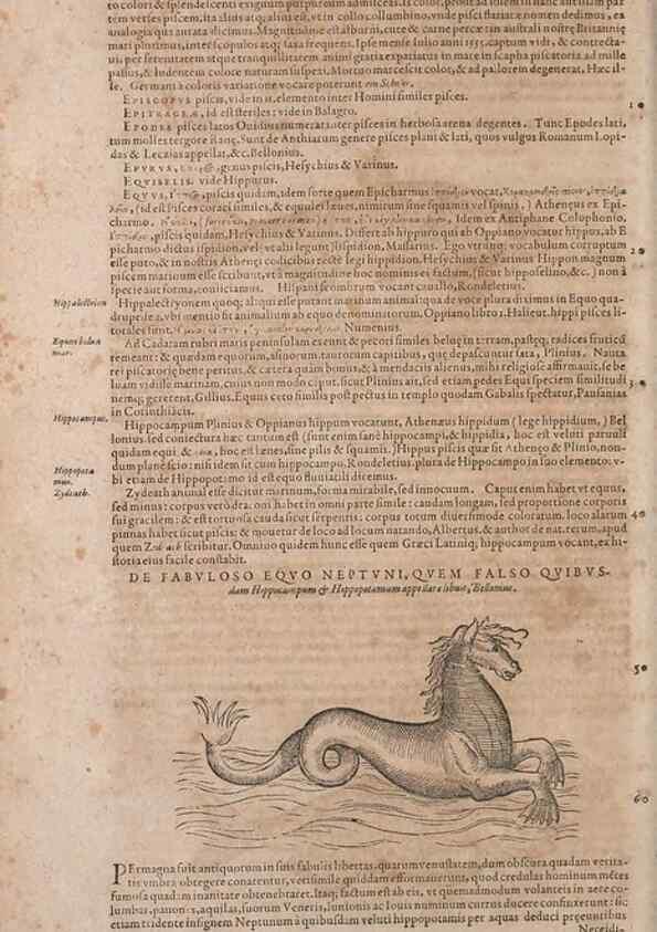 Reproducción/Reproduction 15383008810: Conradi Gesneri medici Tigurini Historiae animalium liber IV :. Francofurti :In Bibliopolio Andreae Cambieri,anno MDCIIII [1604]