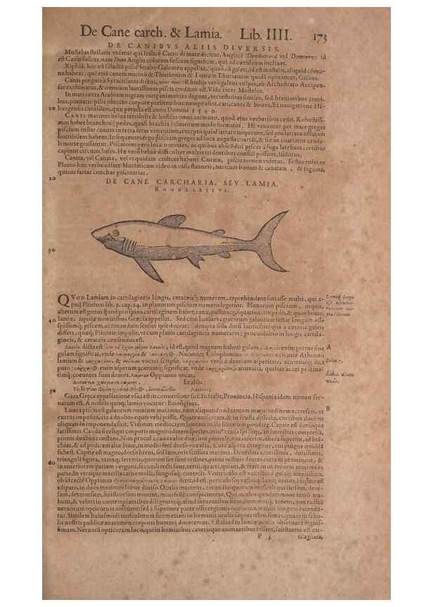 Reproducción/Reproduction 15565853931: Conradi Gesneri medici Tigurini Historiae animalium liber IV :. Francofurti :In Bibliopolio Andreae Cambieri,anno MDCIIII [1604]