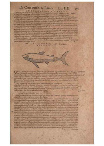 Reproducción/Reproduction 15565853931: Conradi Gesneri medici Tigurini Historiae animalium liber IV :. Francofurti :In Bibliopolio Andreae Cambieri,anno MDCIIII [1604]