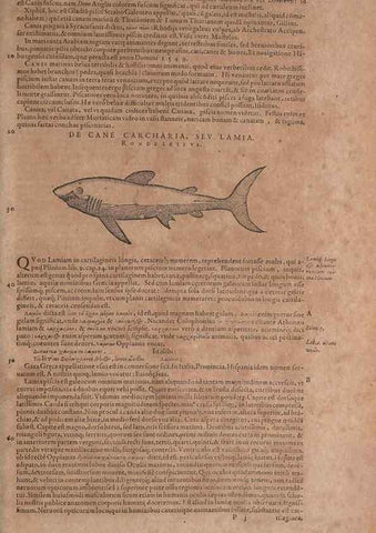 Reproducción/Reproduction 15565853931: Conradi Gesneri medici Tigurini Historiae animalium liber IV :. Francofurti :In Bibliopolio Andreae Cambieri,anno MDCIIII [1604]