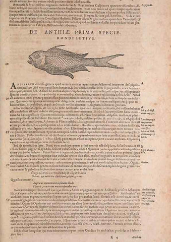 Reproducción/Reproduction 14947656634: Conradi Gesneri medici Tigurini Historiae animalium liber IV :. Francofurti :In Bibliopolio Andreae Cambieri,anno MDCIIII [1604]