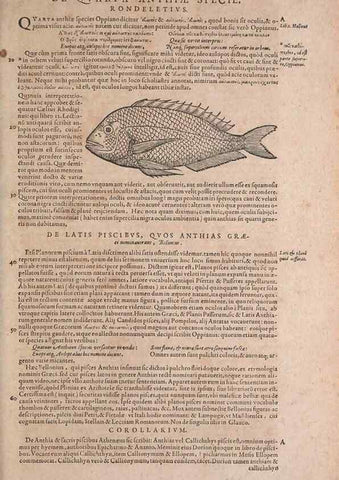 Reproducción/Reproduction 15569250262: Conradi Gesneri medici Tigurini Historiae animalium liber IV :. Francofurti :In Bibliopolio Andreae Cambieri,anno MDCIIII [1604]