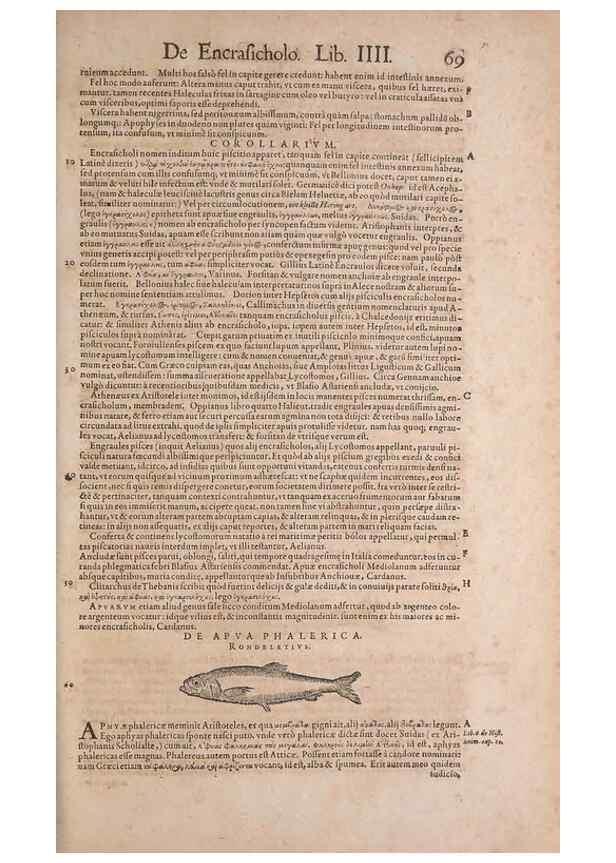 Reproducción/Reproduction 15569255172: Conradi Gesneri medici Tigurini Historiae animalium liber IV :. Francofurti :In Bibliopolio Andreae Cambieri,anno MDCIIII [1604]