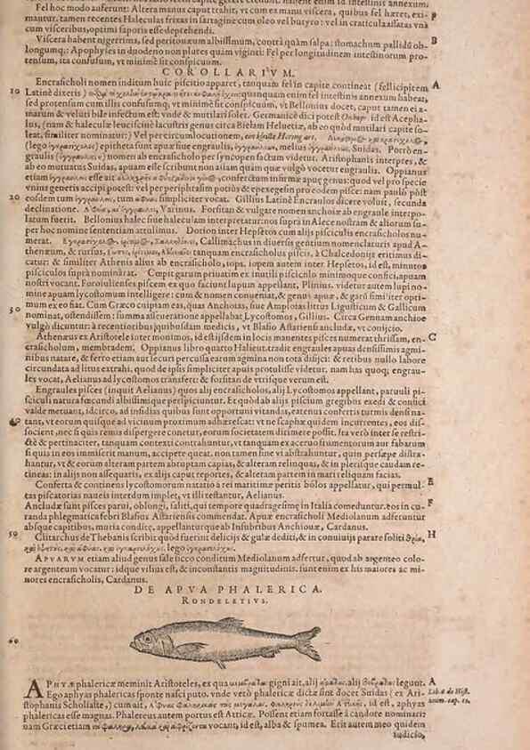 Reproducción/Reproduction 15569255172: Conradi Gesneri medici Tigurini Historiae animalium liber IV :. Francofurti :In Bibliopolio Andreae Cambieri,anno MDCIIII [1604]