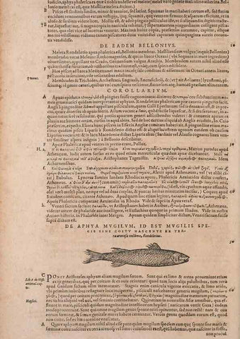 Reproducción/Reproduction 15382788120: Conradi Gesneri medici Tigurini Historiae animalium liber IV :. Francofurti :In Bibliopolio Andreae Cambieri,anno MDCIIII [1604]