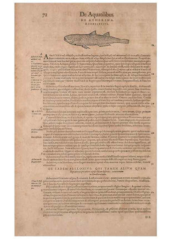 Reproducción/Reproduction 14947671854: Conradi Gesneri medici Tigurini Historiae animalium liber IV :. Francofurti :In Bibliopolio Andreae Cambieri,anno MDCIIII [1604]