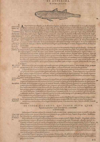 Reproducción/Reproduction 14947671854: Conradi Gesneri medici Tigurini Historiae animalium liber IV :. Francofurti :In Bibliopolio Andreae Cambieri,anno MDCIIII [1604]