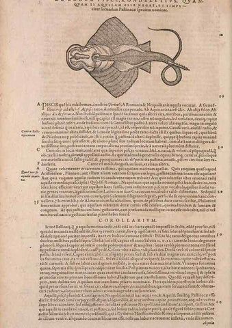 Reproducción/Reproduction 14948253433: Conradi Gesneri medici Tigurini Historiae animalium liber IV :. Francofurti :In Bibliopolio Andreae Cambieri,anno MDCIIII [1604]