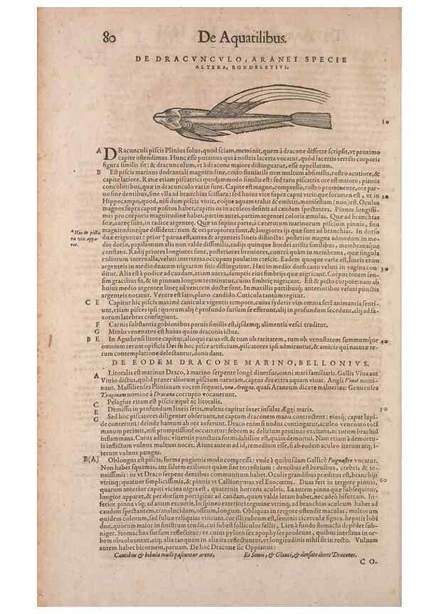 Reproducción/Reproduction 15568432505: Conradi Gesneri medici Tigurini Historiae animalium liber IV :. Francofurti :In Bibliopolio Andreae Cambieri,anno MDCIIII [1604]