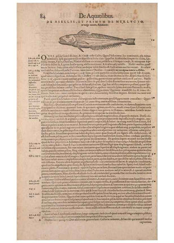 Reproducción/Reproduction 15565766561: Conradi Gesneri medici Tigurini Historiae animalium liber IV :. Francofurti :In Bibliopolio Andreae Cambieri,anno MDCIIII [1604]