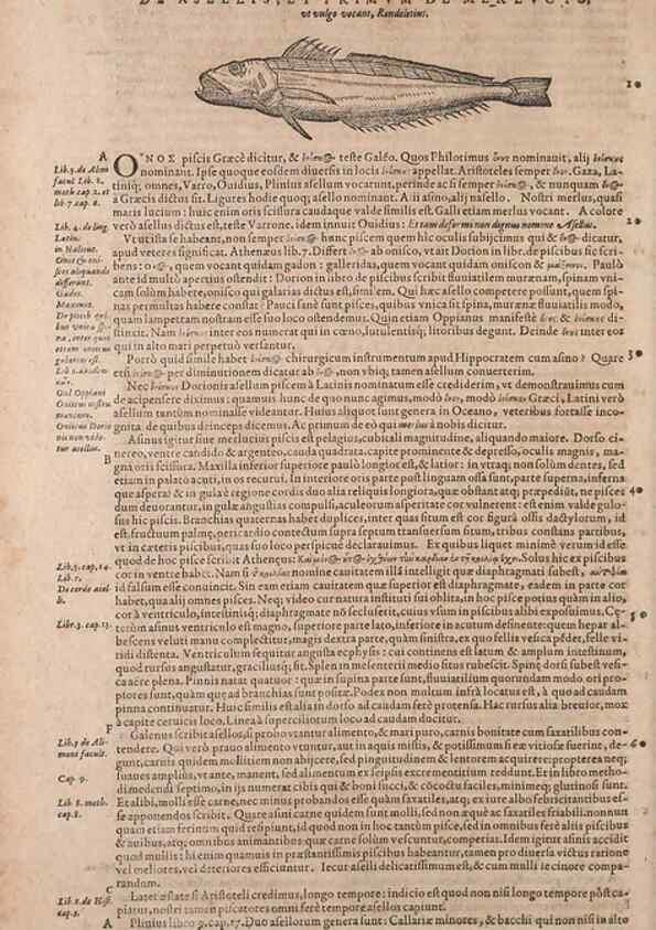 Reproducción/Reproduction 15565766561: Conradi Gesneri medici Tigurini Historiae animalium liber IV :. Francofurti :In Bibliopolio Andreae Cambieri,anno MDCIIII [1604]