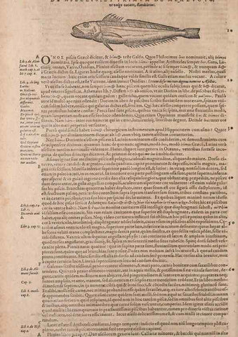 Reproducción/Reproduction 15565766561: Conradi Gesneri medici Tigurini Historiae animalium liber IV :. Francofurti :In Bibliopolio Andreae Cambieri,anno MDCIIII [1604]