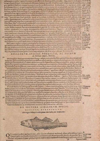 Reproducción/Reproduction 15544736026: Conradi Gesneri medici Tigurini Historiae animalium liber IV :. Francofurti :In Bibliopolio Andreae Cambieri,anno MDCIIII [1604]