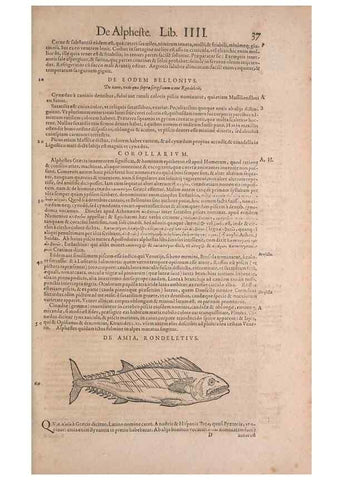 Reproducción/Reproduction 15565730671: Conradi Gesneri medici Tigurini Historiae animalium liber IV :. Francofurti :In Bibliopolio Andreae Cambieri,anno MDCIIII [1604]