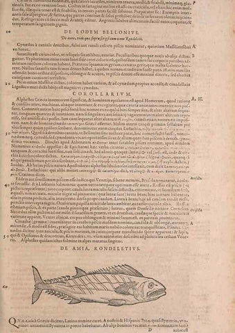 Reproducción/Reproduction 15565730671: Conradi Gesneri medici Tigurini Historiae animalium liber IV :. Francofurti :In Bibliopolio Andreae Cambieri,anno MDCIIII [1604]