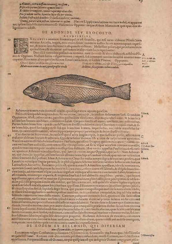 Reproducción/Reproduction 15568363635: Conradi Gesneri medici Tigurini Historiae animalium liber IV :. Francofurti :In Bibliopolio Andreae Cambieri,anno MDCIIII [1604]