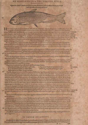Reproducción/Reproduction 14948204853: Conradi Gesneri medici Tigurini Historiae animalium liber IV :. Francofurti :In Bibliopolio Andreae Cambieri,anno MDCIIII [1604]
