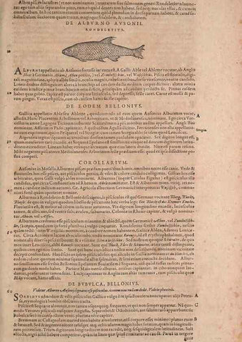 Reproducción/Reproduction 15382369727: Conradi Gesneri medici Tigurini Historiae animalium liber IV :. Francofurti :In Bibliopolio Andreae Cambieri,anno MDCIIII [1604]