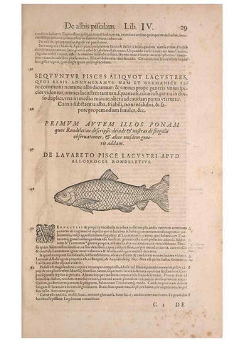 Reproducción/Reproduction 15381753659: Conradi Gesneri medici Tigurini Historiae animalium liber IV :. Francofurti :In Bibliopolio Andreae Cambieri,anno MDCIIII [1604]