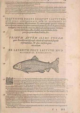 Reproducción/Reproduction 15381753659: Conradi Gesneri medici Tigurini Historiae animalium liber IV :. Francofurti :In Bibliopolio Andreae Cambieri,anno MDCIIII [1604]