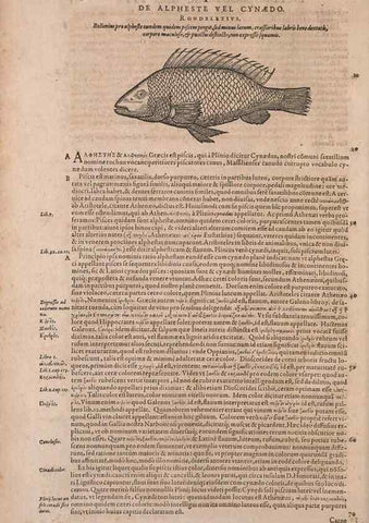 Reproducción/Reproduction 15382766140: Conradi Gesneri medici Tigurini Historiae animalium liber IV :. Francofurti :In Bibliopolio Andreae Cambieri,anno MDCIIII [1604]