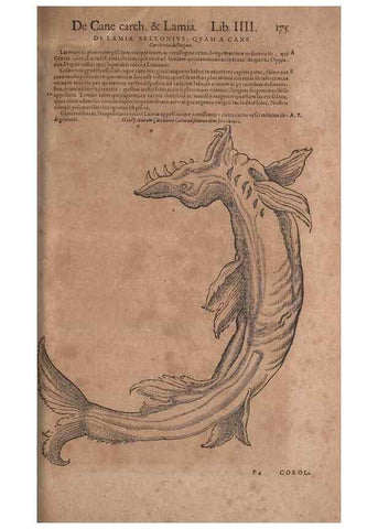 Reproducción/Reproduction 15569364352: Conradi Gesneri medici Tigurini Historiae animalium liber IV :. Francofurti :In Bibliopolio Andreae Cambieri,anno MDCIIII [1604]