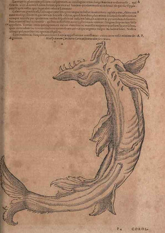 Reproducción/Reproduction 15569364352: Conradi Gesneri medici Tigurini Historiae animalium liber IV :. Francofurti :In Bibliopolio Andreae Cambieri,anno MDCIIII [1604]