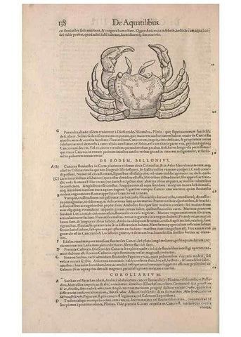 Reproducción/Reproduction 15565823691: Conradi Gesneri medici Tigurini Historiae animalium liber IV :. Francofurti :In Bibliopolio Andreae Cambieri,anno MDCIIII [1604]