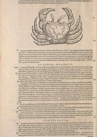 Reproducción/Reproduction 15565823691: Conradi Gesneri medici Tigurini Historiae animalium liber IV :. Francofurti :In Bibliopolio Andreae Cambieri,anno MDCIIII [1604]
