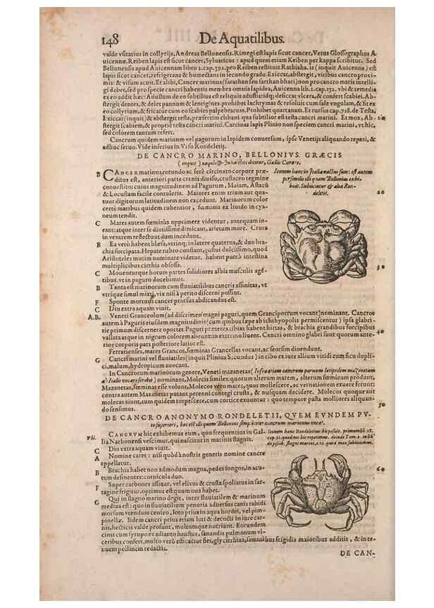 Reproducción/Reproduction 14947743514: Conradi Gesneri medici Tigurini Historiae animalium liber IV :. Francofurti :In Bibliopolio Andreae Cambieri,anno MDCIIII [1604]
