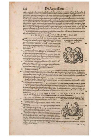 Reproducción/Reproduction 14947743514: Conradi Gesneri medici Tigurini Historiae animalium liber IV :. Francofurti :In Bibliopolio Andreae Cambieri,anno MDCIIII [1604]