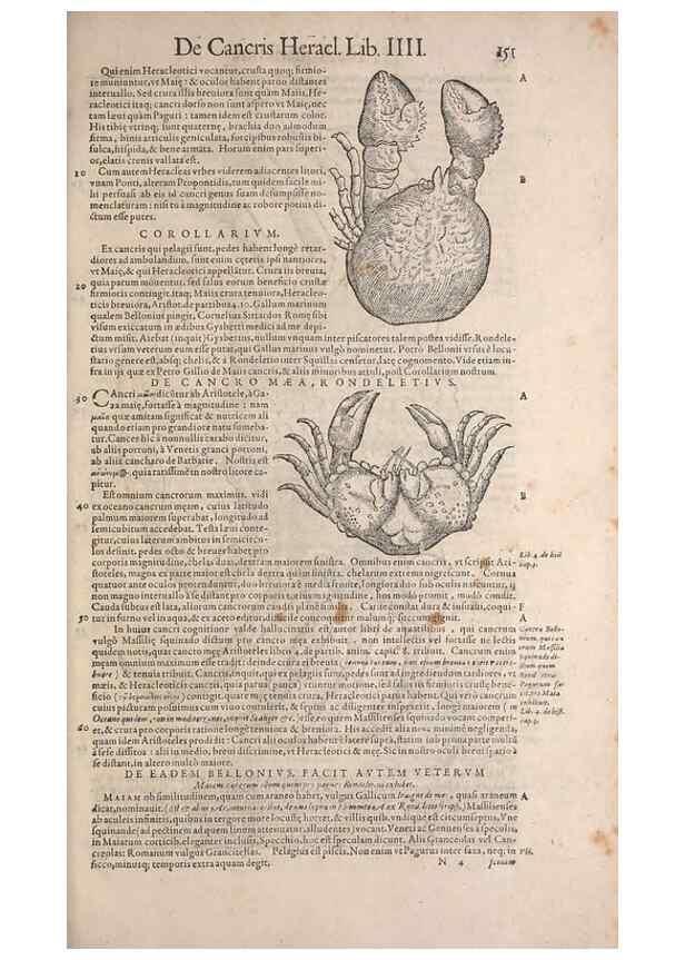 Reproducción/Reproduction 15544794266: Conradi Gesneri medici Tigurini Historiae animalium liber IV :. Francofurti :In Bibliopolio Andreae Cambieri,anno MDCIIII [1604]