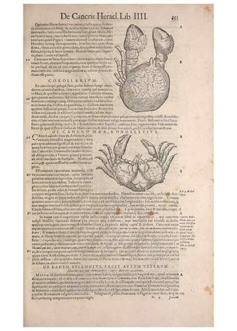 Reproducción/Reproduction 15544794266: Conradi Gesneri medici Tigurini Historiae animalium liber IV :. Francofurti :In Bibliopolio Andreae Cambieri,anno MDCIIII [1604]