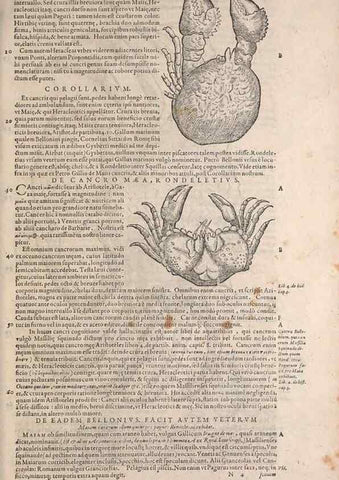 Reproducción/Reproduction 15544794266: Conradi Gesneri medici Tigurini Historiae animalium liber IV :. Francofurti :In Bibliopolio Andreae Cambieri,anno MDCIIII [1604]