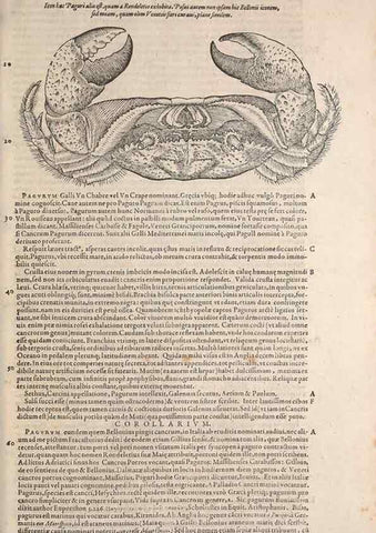 Reproducción/Reproduction 14948330483: Conradi Gesneri medici Tigurini Historiae animalium liber IV :. Francofurti :In Bibliopolio Andreae Cambieri,anno MDCIIII [1604]