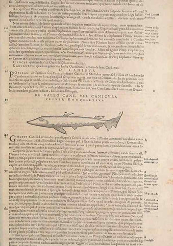 Reproducción/Reproduction 14948343483: Conradi Gesneri medici Tigurini Historiae animalium liber IV :. Francofurti :In Bibliopolio Andreae Cambieri,anno MDCIIII [1604]